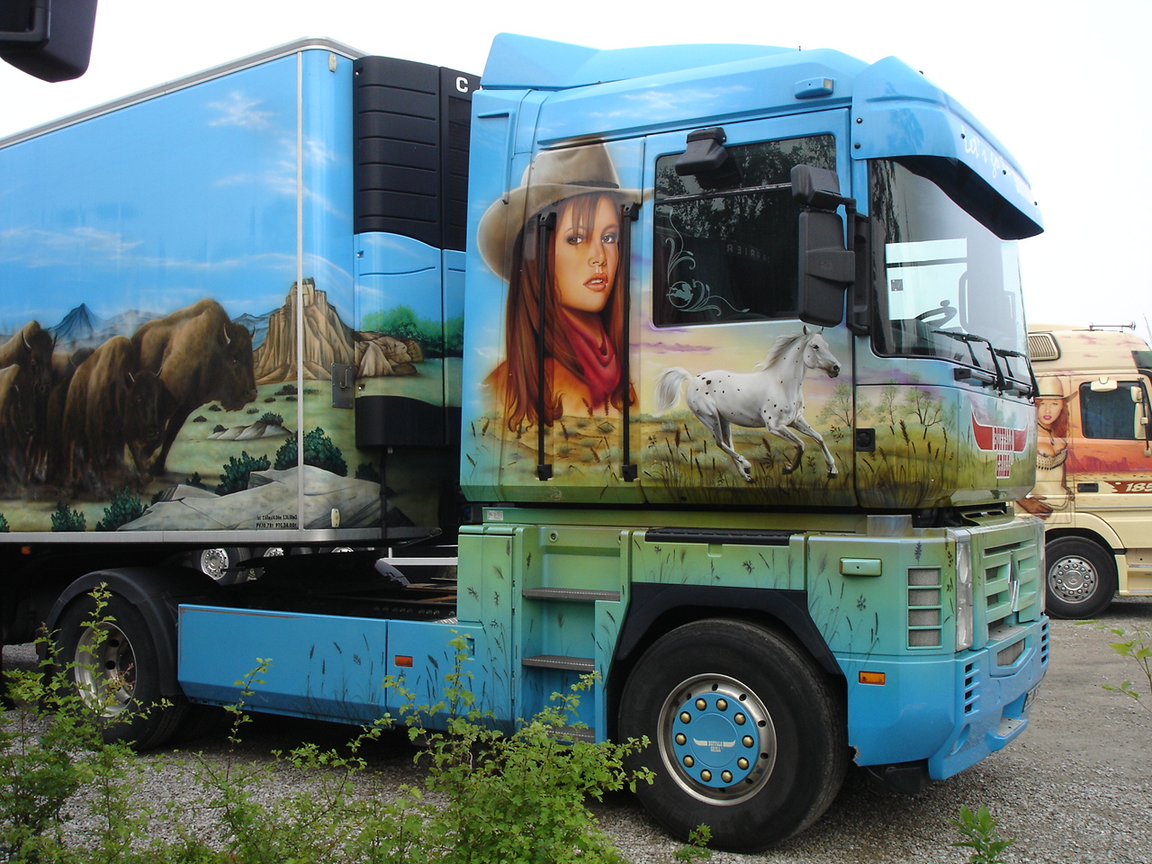 Districoupe (39).JPG